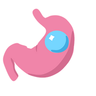 Gastriris